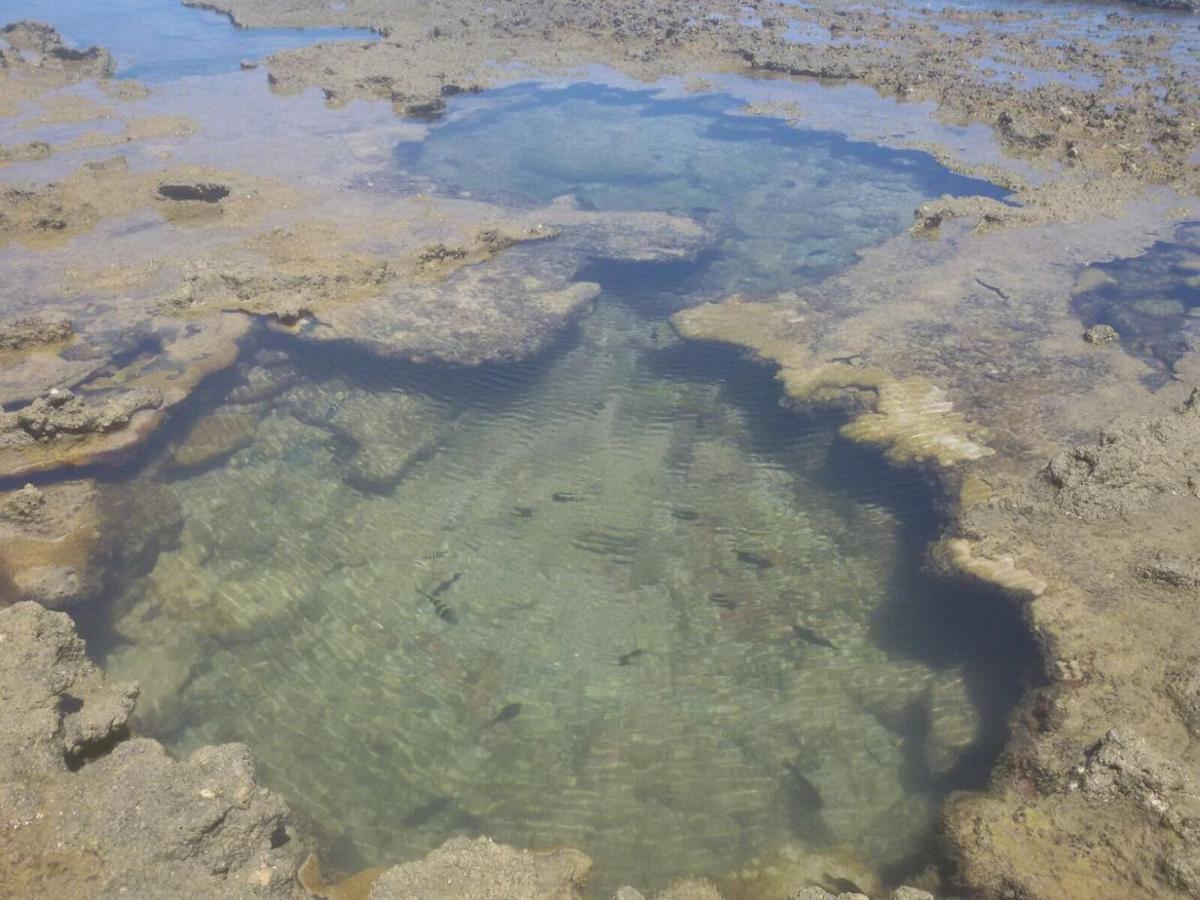 Pousada Recanto Da Enseada Cabo de Santo Agostinho Ngoại thất bức ảnh